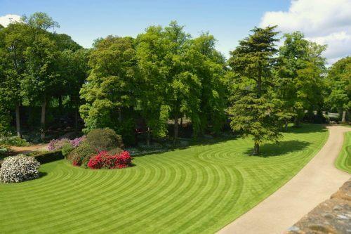 Winning entry for Lawn stripes competition 2016
