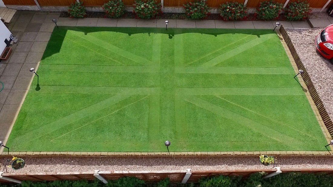 Creative Lawn Stripes Competition