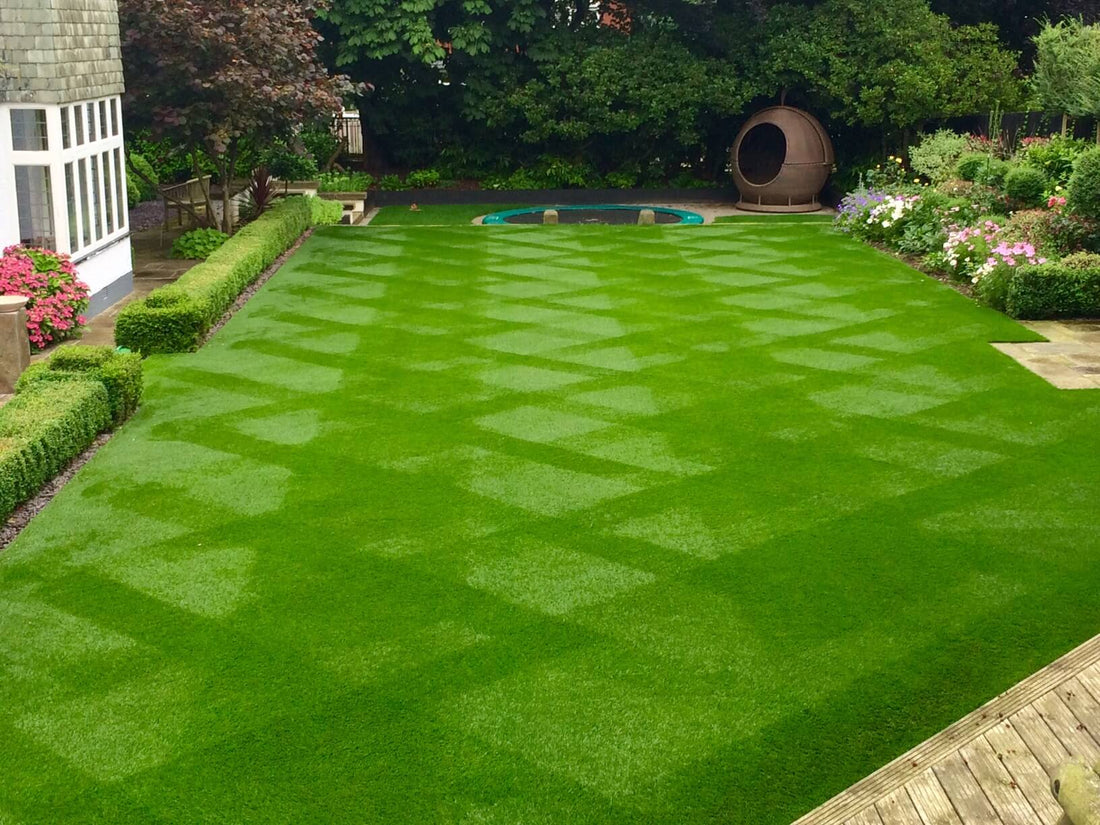 2nd place in Allett 2016 creative lawn stripes competition