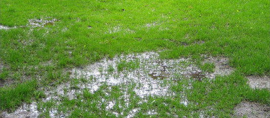 How to Deal with a Waterlogged Lawn- Allett
